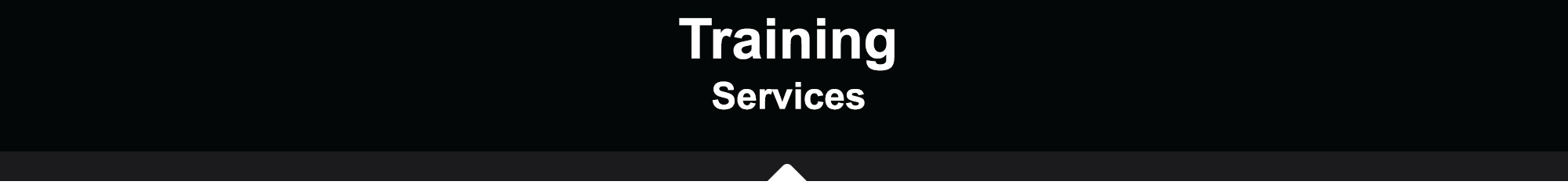 Training Services